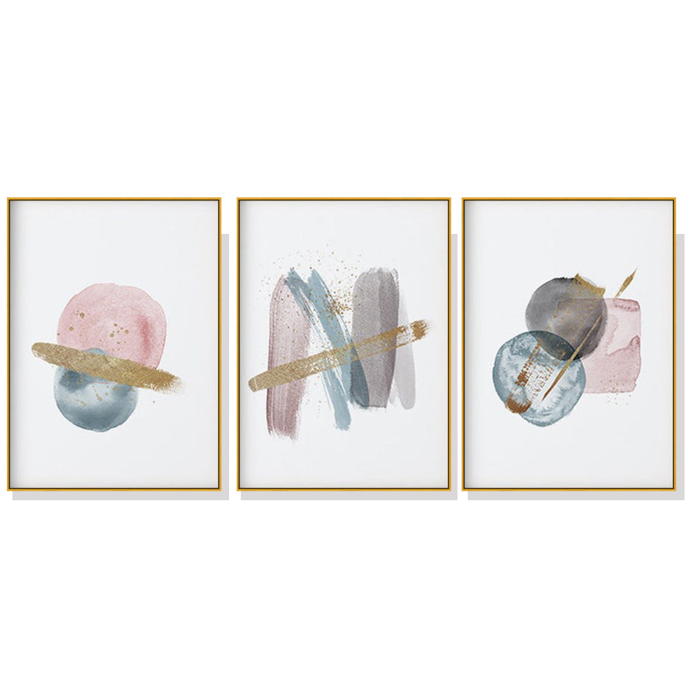 40cmx60cm Blush Pink Watercolor 3 Sets Gold Frame Canvas Wall Art